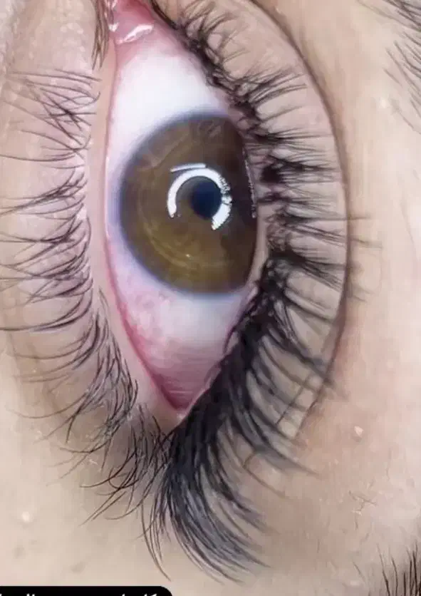 مدل رایگان اکستنشن|خدمات آرایشگری و زیبایی|داراب, |دیوار