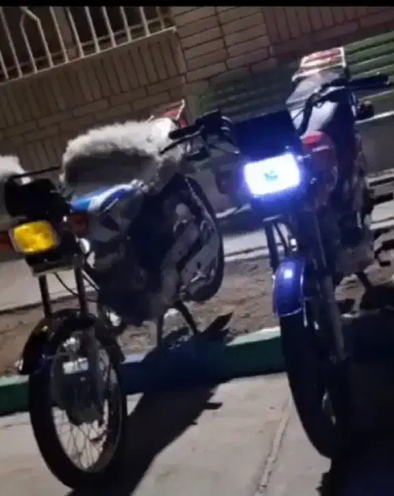 همتاز 125 مدل 99|موتورسیکلت|شیروان (خراسان), |دیوار