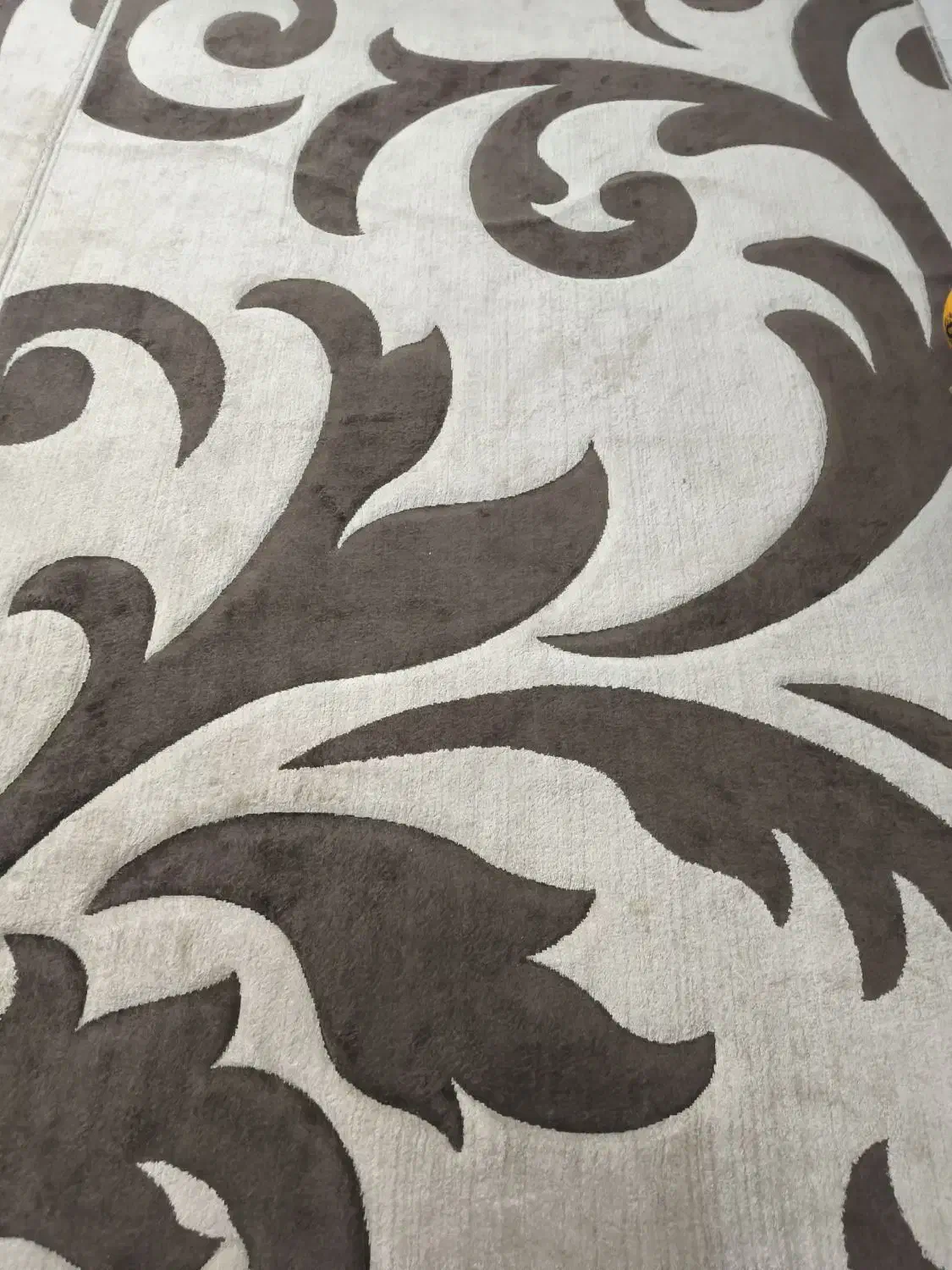 فرش ۶ متری|فرش|رشت, معلولین|دیوار