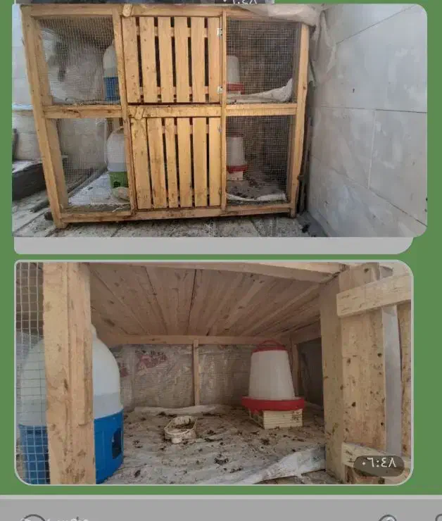 قفس دوطبقه|لوازم جانبی حیوانات|لنجان, |دیوار