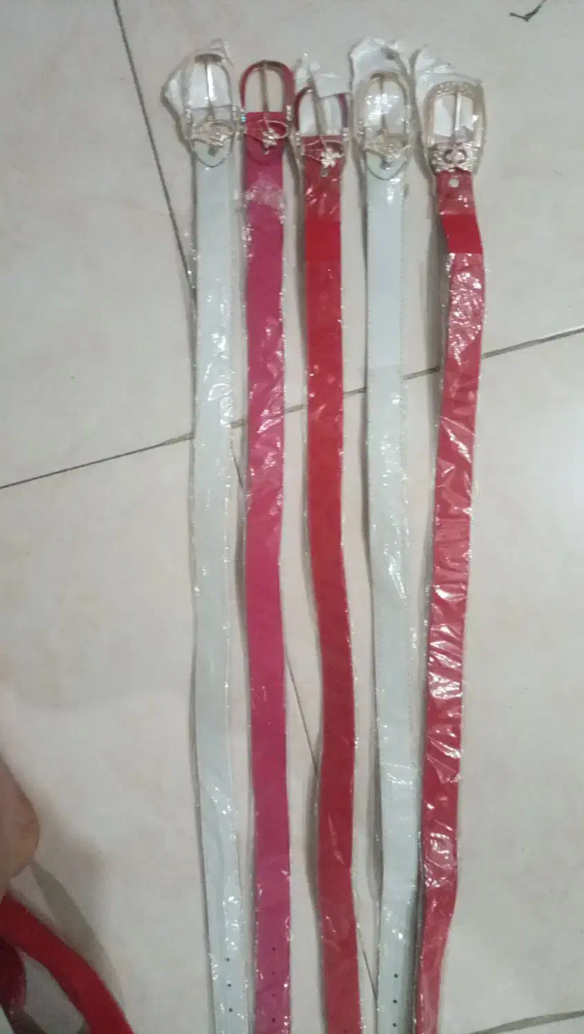 کمربند|کیف، کفش، کمربند|شیراز, تحویلی|دیوار