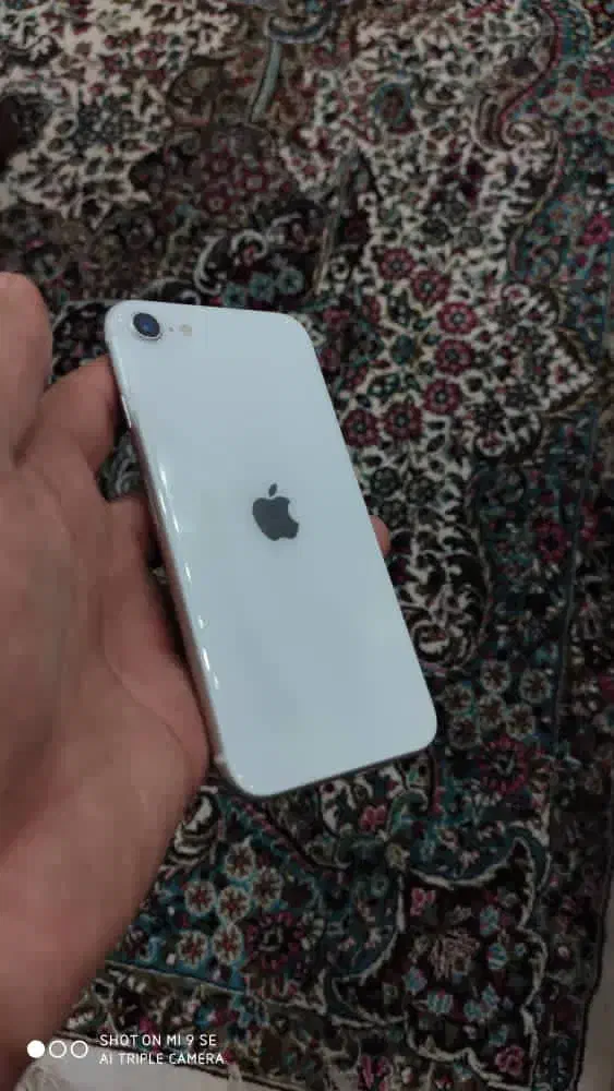 iphone se2020 64|موبایل|رفسنجان, |دیوار