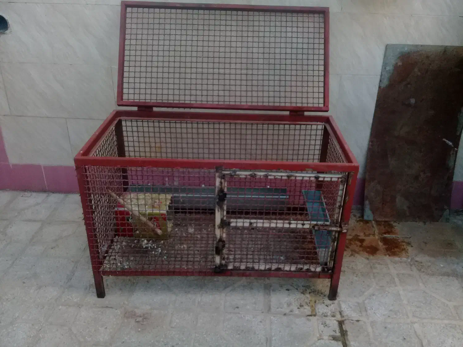 قفس|لوازم جانبی حیوانات|مرودشت, تامین اجتماعی|دیوار