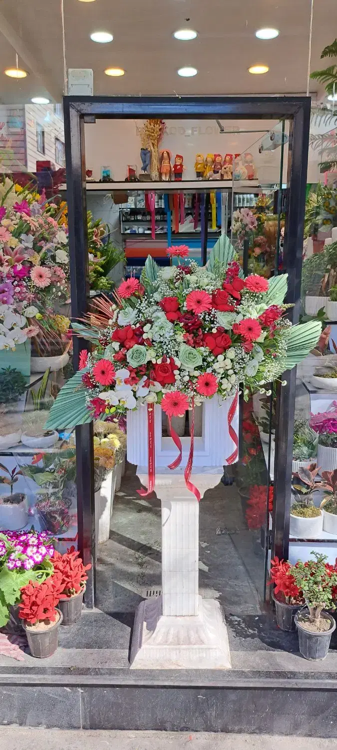 گل و|گل و گیاه طبیعی|تهران, بریانک|دیوار