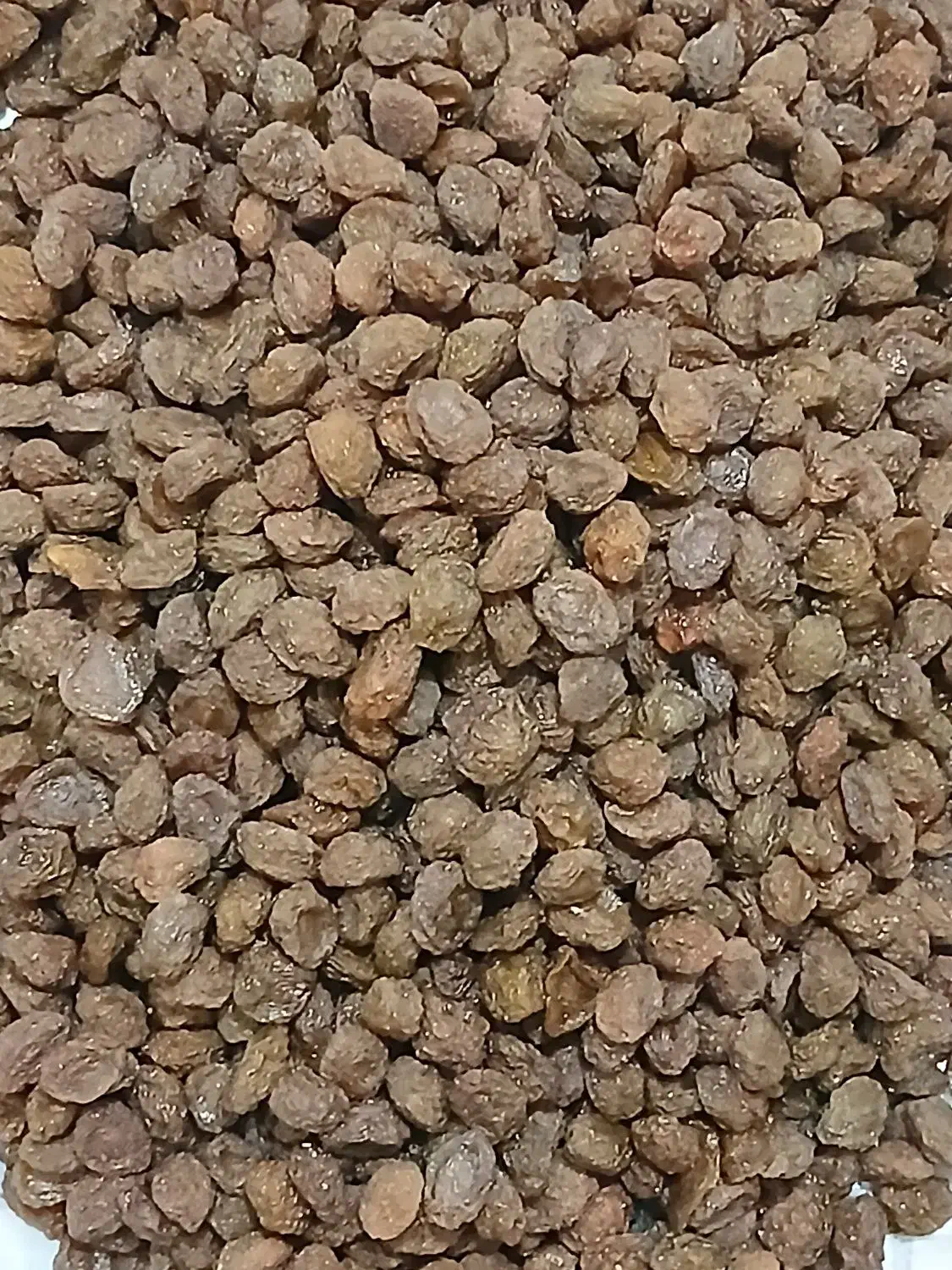 الو بخارا طبیعی بوانات|خوردنی و آشامیدنی|شیراز, کوشک میدان|دیوار