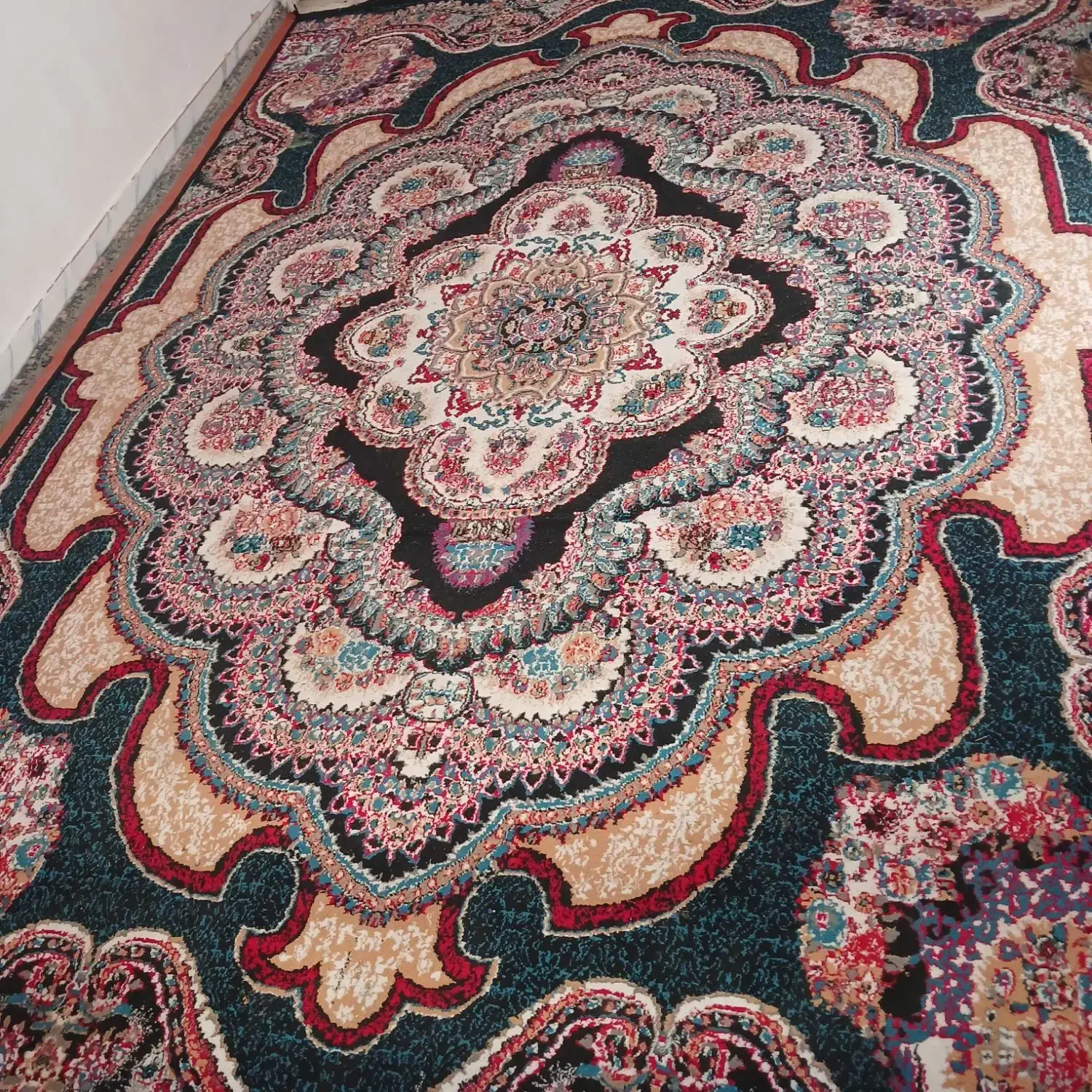 فرش گلیم|گلیم، جاجیم، گبه|بندرعباس, |دیوار