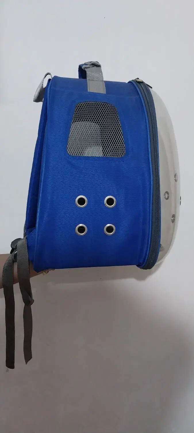 کوله پشتی در حد نو خیلی کم استفاده شده|کیف، کفش، کمربند|قزوین, |دیوار