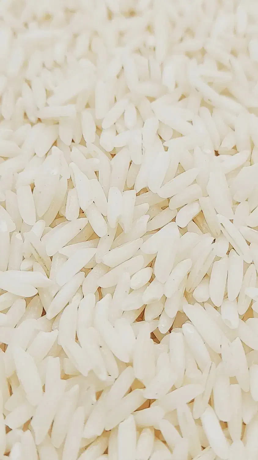 برنج صدری زرد دم|خوردنی و آشامیدنی|رشت, نخودچر|دیوار