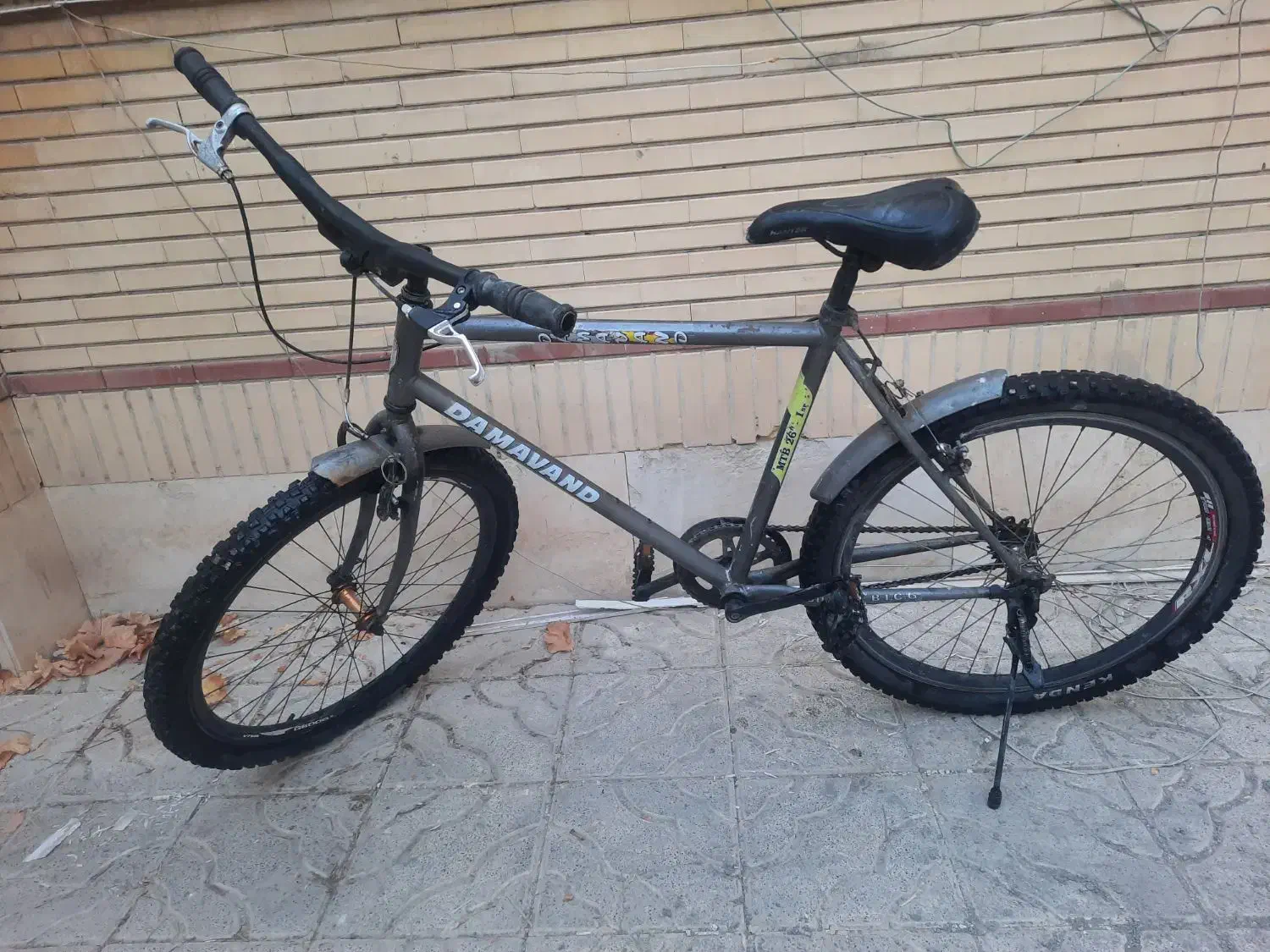 اساک دماوند اصلی فنی کاملا سالم زین شده برای سواری|دوچرخه، اسکیت، اسکوتر|مشهد, سرافرازان|دیوار