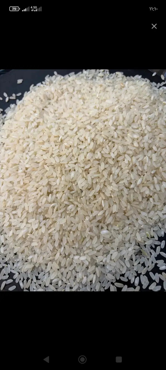 برنج|خوردنی و آشامیدنی|مرودشت, پشت سایپا‎|دیوار
