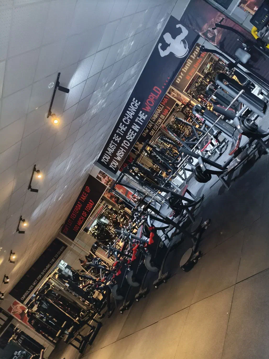 باشگاه بدنسازی پلاتو|تجهیزات ورزشی|شاهینشهر, فدک|دیوار