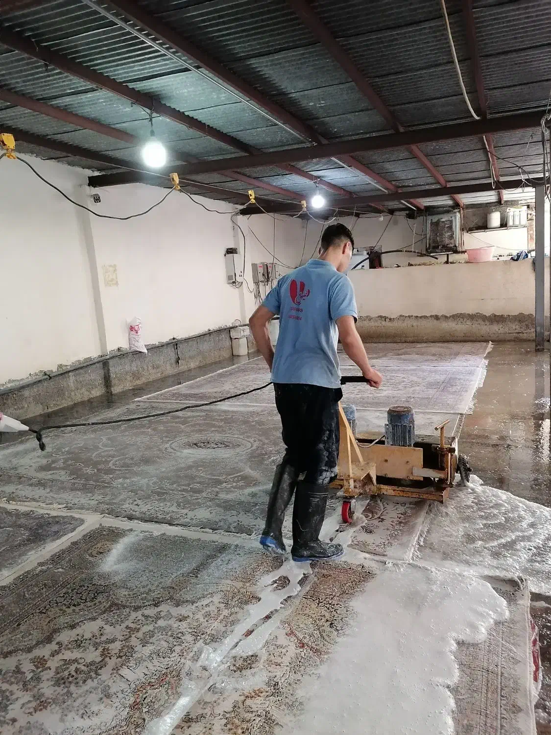 قالیشویی طلوع تابان سابق(پاکدشت. قیامدشت. خاورشهر)|خدمات نظافت|پاکدشت, پاکدشت (مامازند)|دیوار