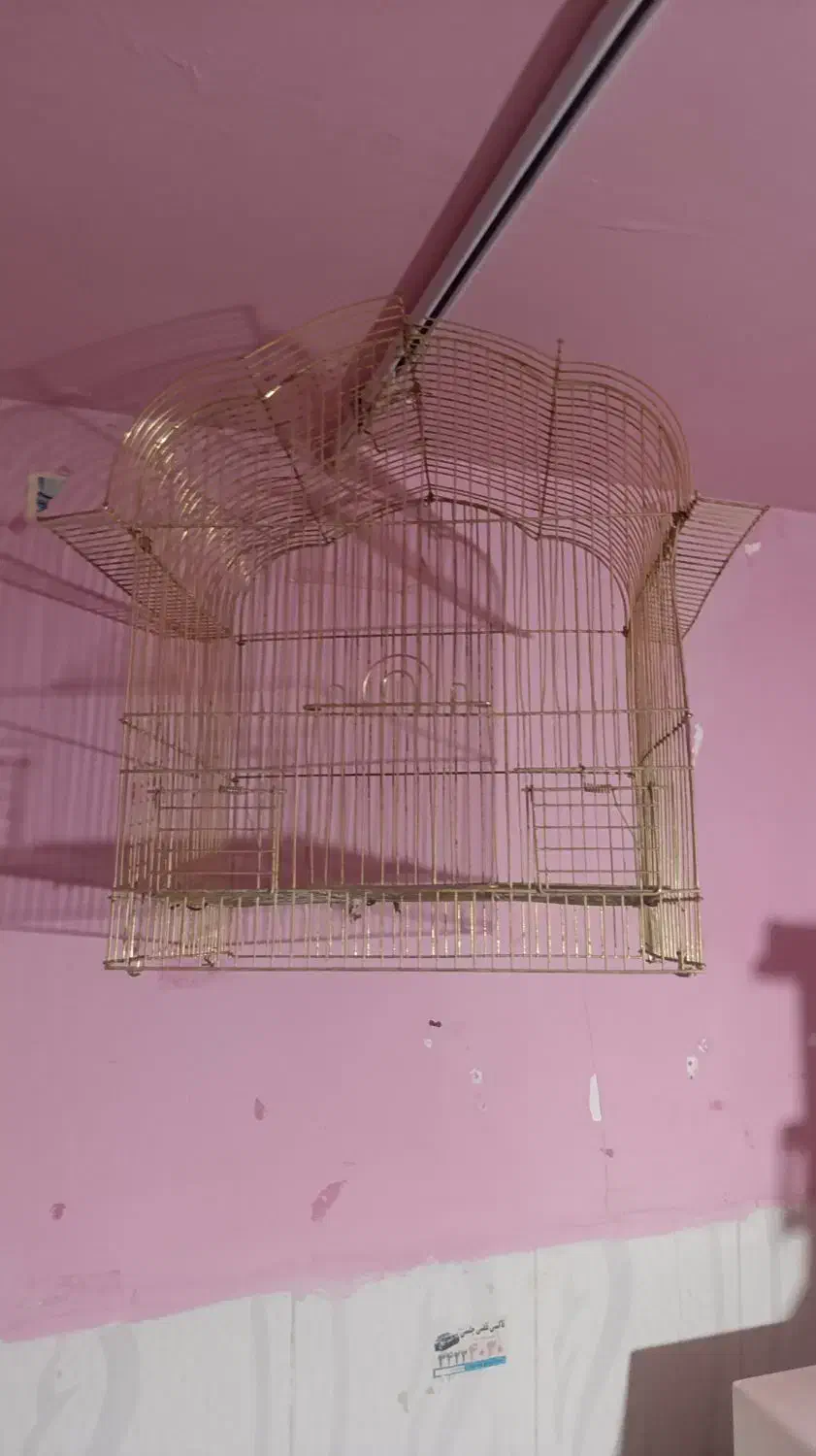 قفس پرنده|لوازم جانبی حیوانات|ایلام, |دیوار
