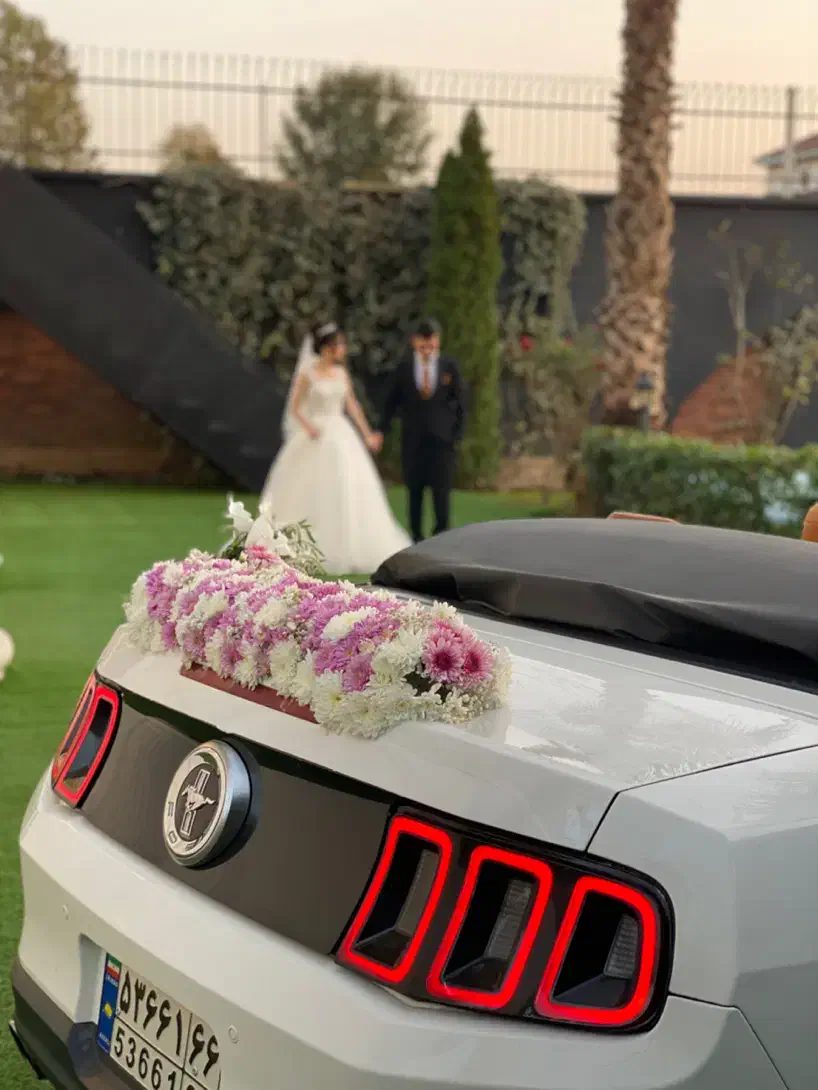 اجاره فورد موستانگ کروک|خدمات پذیرایی، مراسم|رشت, استقامت ۱|دیوار