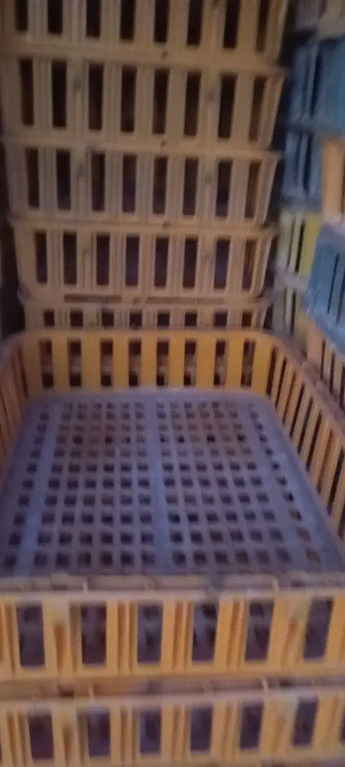 قفس مرغ زنده|فروشگاه و مغازه|باسمنج, |دیوار