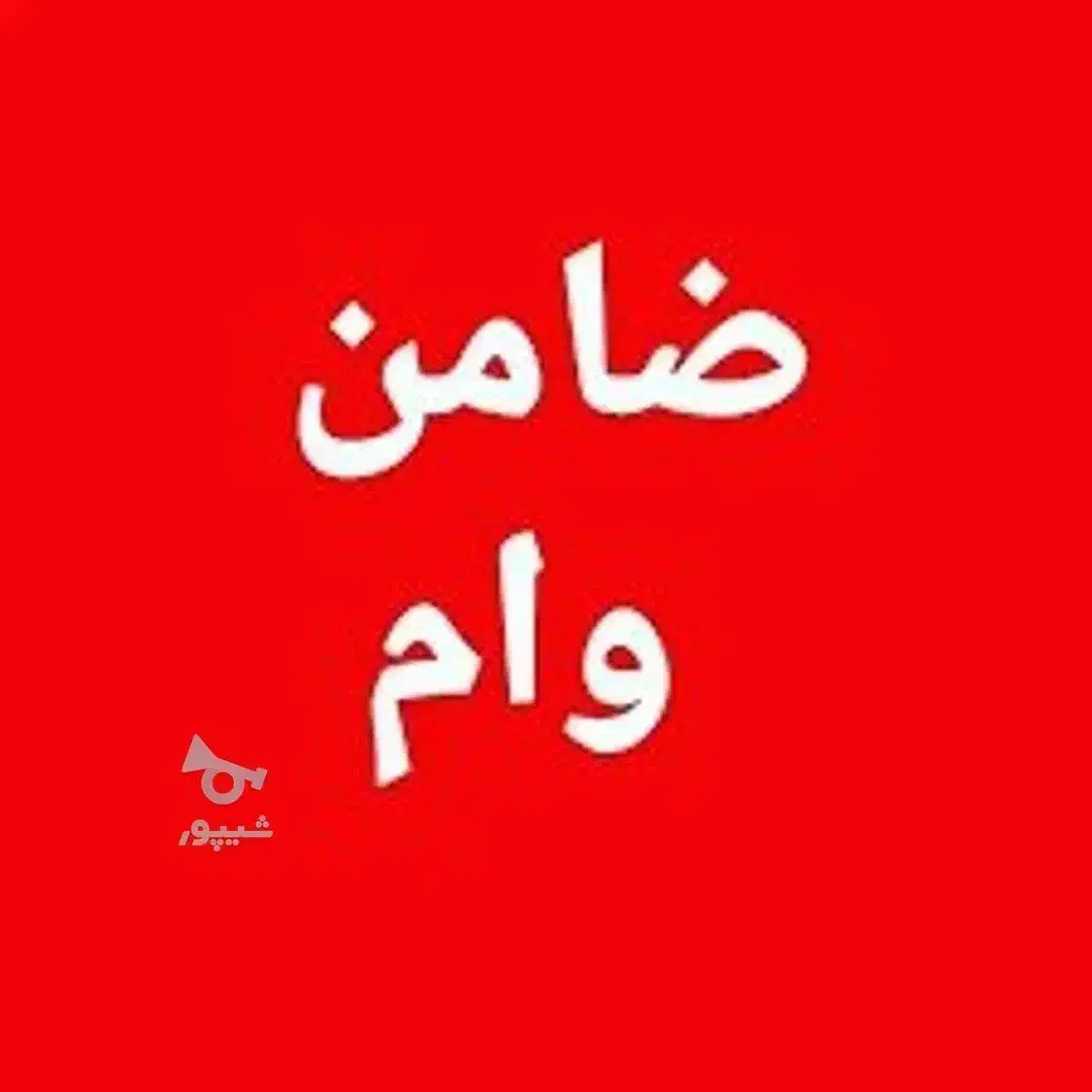 ضامن نیاز دارم واسه وام ازدواج|خدمات مالی، حسابداری، بیمه|تهران, میرداماد|دیوار