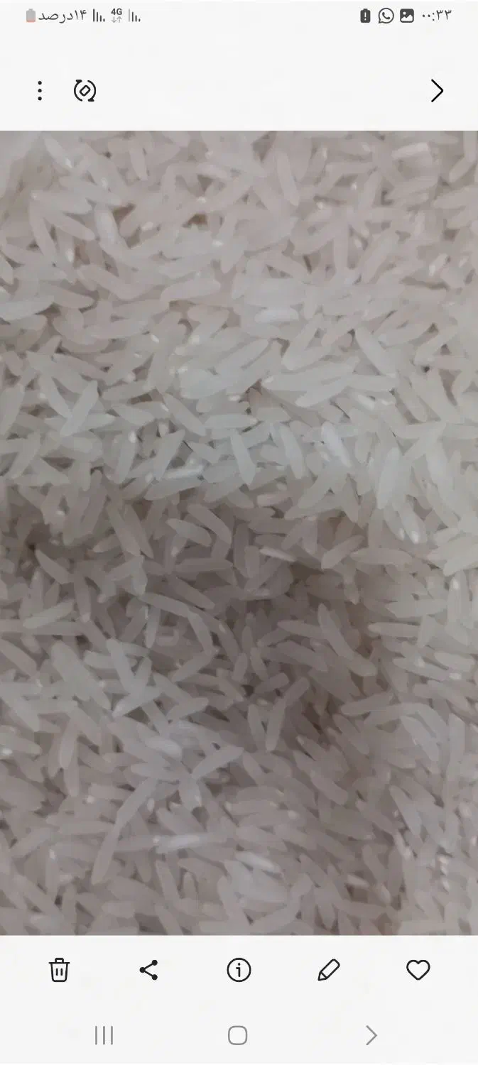 سلام برنج فجر90روزه ضمانتی اززمین خودمون هستش|خوردنی و آشامیدنی|آق قلا, |دیوار