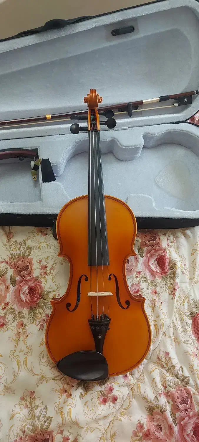 ویلون|ویولن|رشت, توشیبا|دیوار