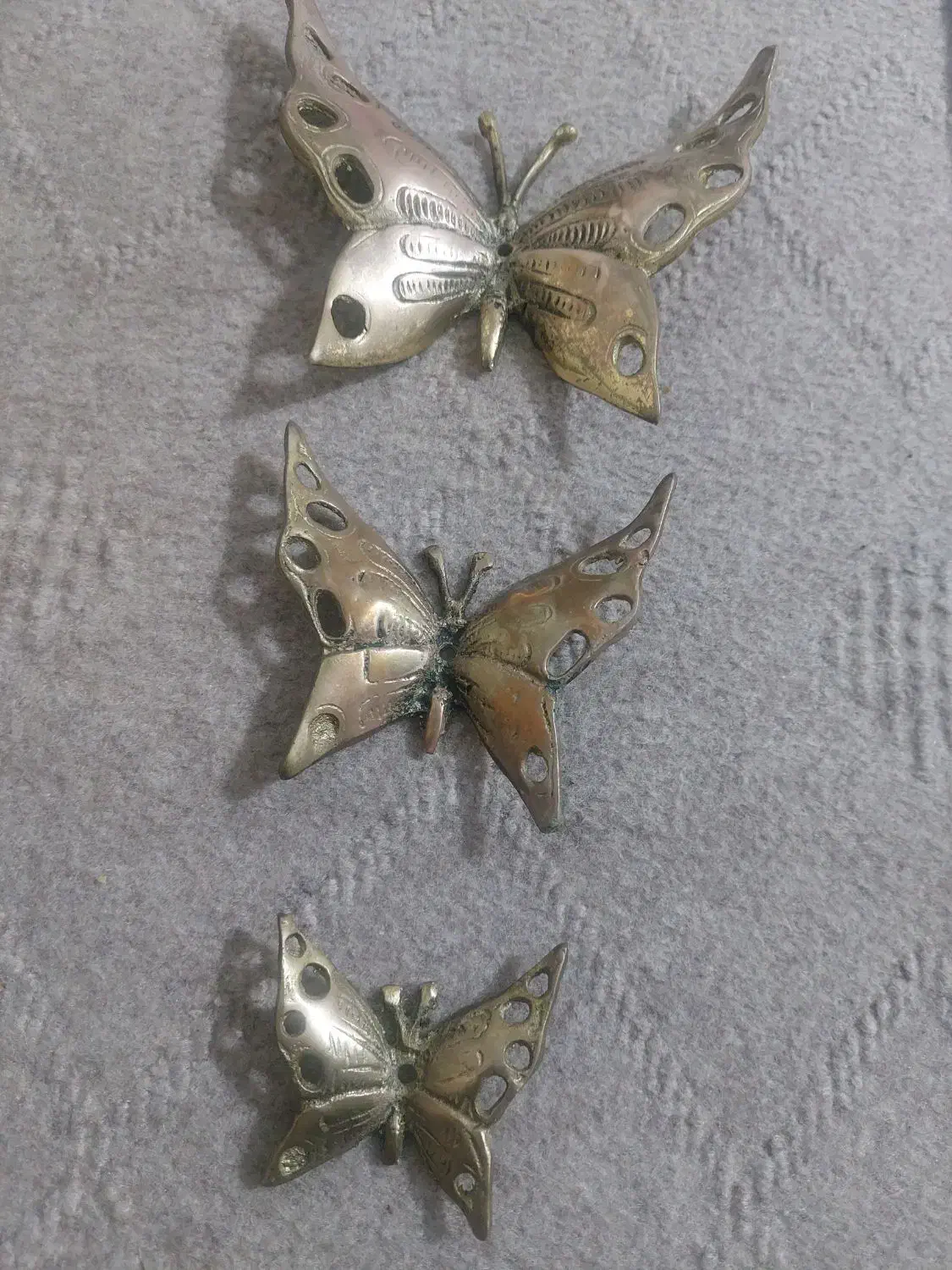 پروانه برنج|مجسمه، تندیس، ماکت|بروجرد, |دیوار