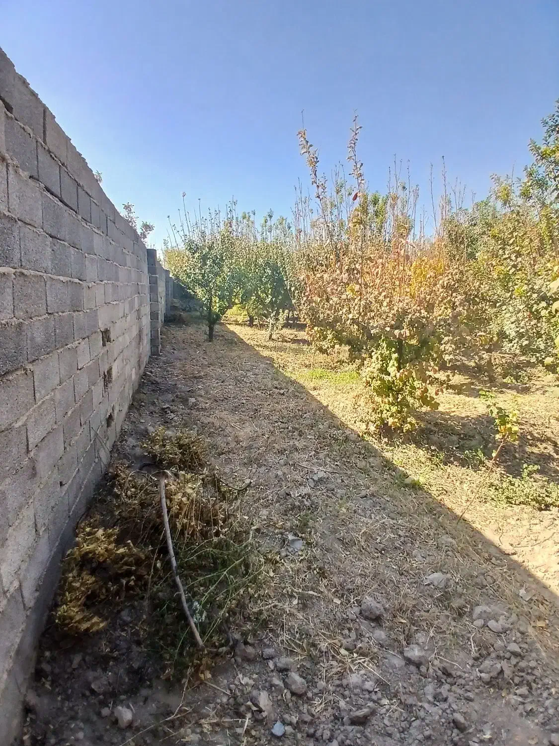 باغچه چهار دیواری به مساحت ۸۸۰مترمربع|فروش زمین و ملک کلنگی|رباط‌کریم, شهرک صنعتی صباشهر|دیوار