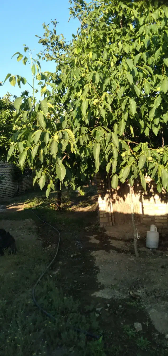 خونه ویلایی|فروش خانه و ویلا|قره پشتلو, |دیوار