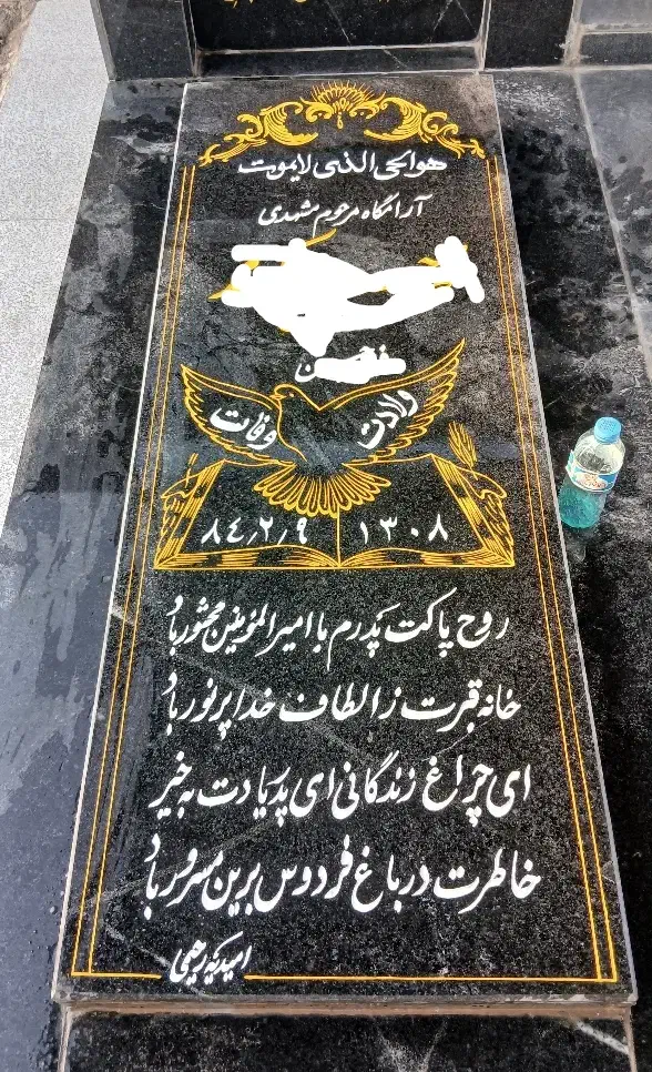 قلم|تابلو، نقاشی، عکس|امیدیه, |دیوار