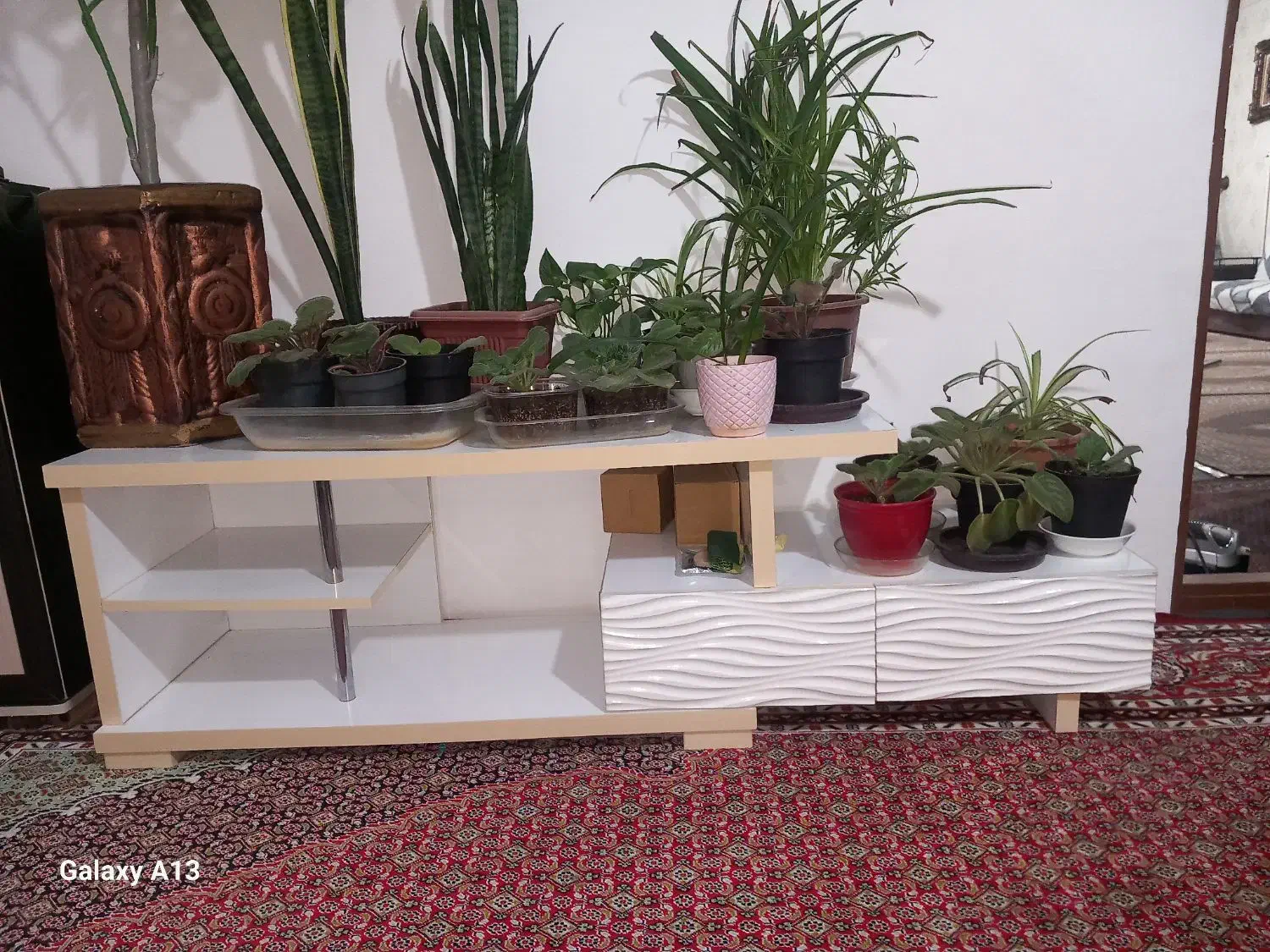 مایل به معاوضه نیستم|گل مصنوعی|خوی, |دیوار