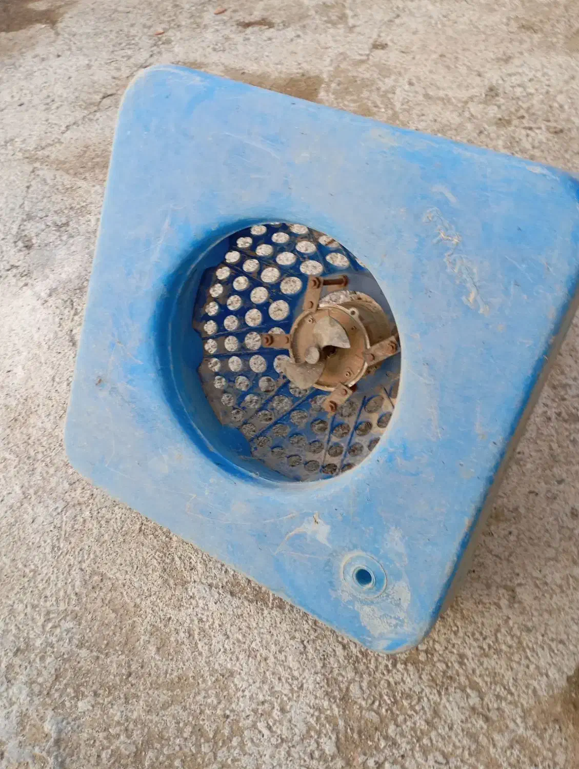 اسپلایش واسه ماهی داخل استخر|ماهی|مهاباد (آذربایجان غربی), |دیوار