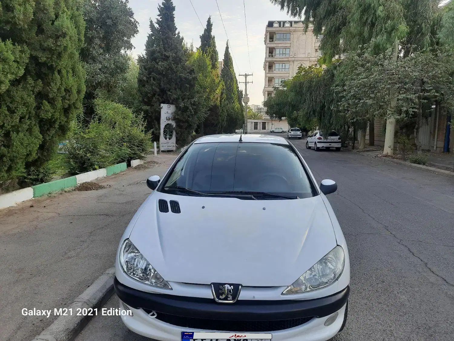 ۲۰۶ تیپ ۲|خودرو سواری و وانت|کرمان, |دیوار