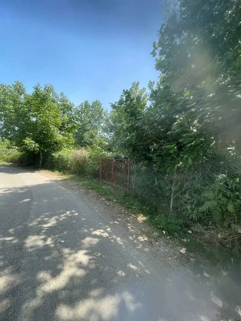 ۶هکتارزمین کشاورزی نظرآباد|فروش دفتر صنعتی، کشاورزی، تجاری|محمدشهر, محمدشهر|دیوار