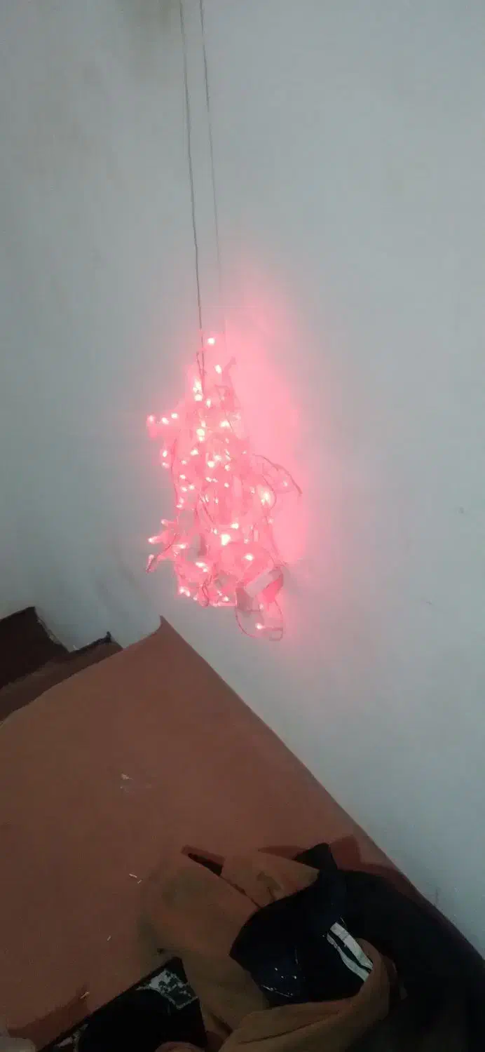 ریسه بزرگ|ریسه و چراغ تزئینی|چناران, |دیوار