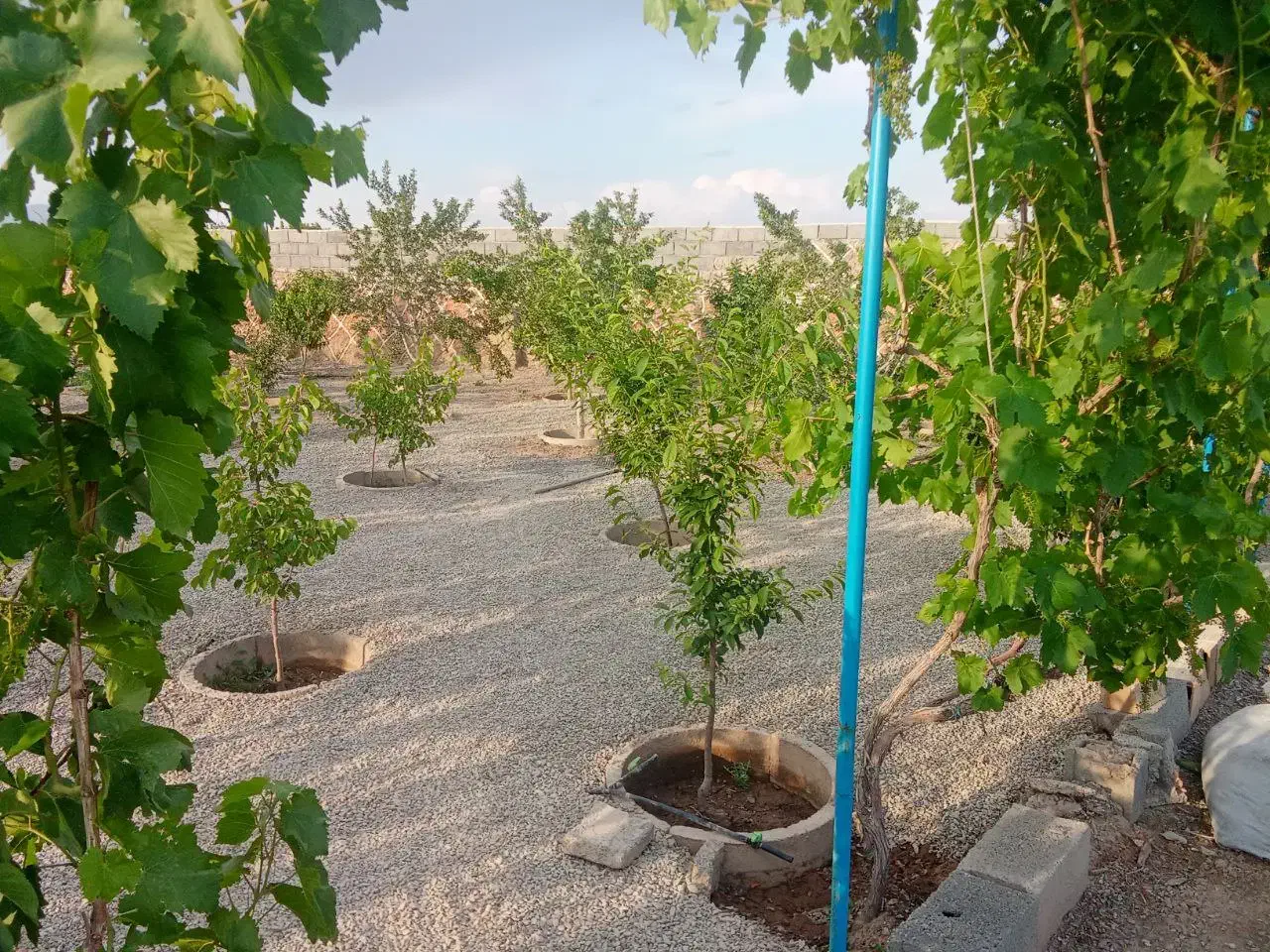 باغ ویلا در وایقان سوخلار|فروش خانه و ویلا|شبستر, |دیوار