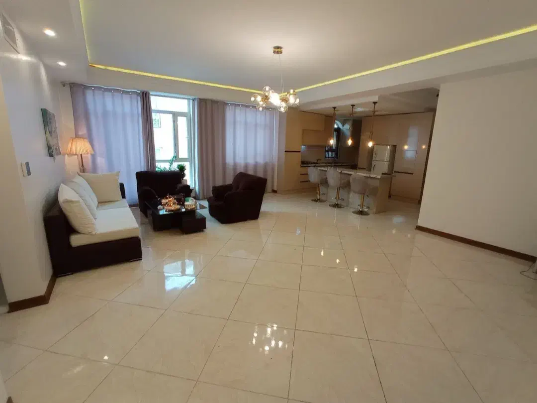 اجاره واحد آپارتمان مبله هتلی مناسب سفرهای کاری|اجارهٔ کوتاهمدت آپارتمان و سوئیت|تهران, کوهک|دیوار