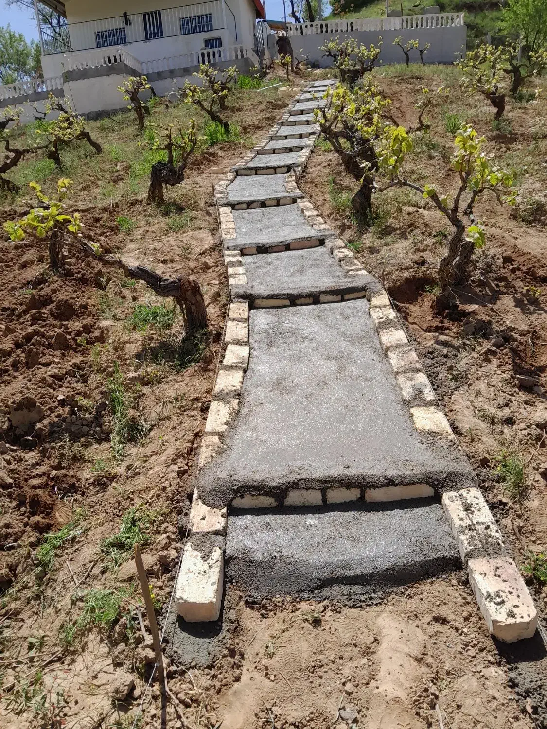 بنایی صفر تا صد|خدمات پیشه و مهارت|بجنورد, |دیوار