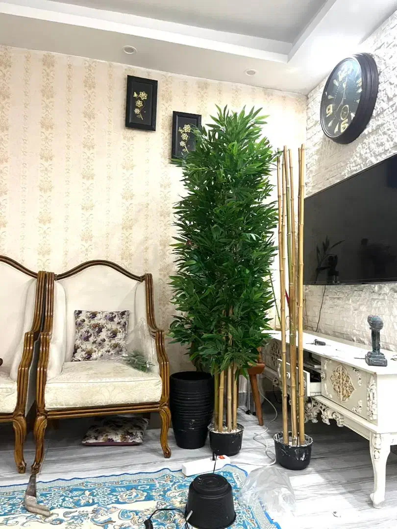 درختچه های مصنوعی وارداتی|گل مصنوعی|لاهیجان, رجایی|دیوار