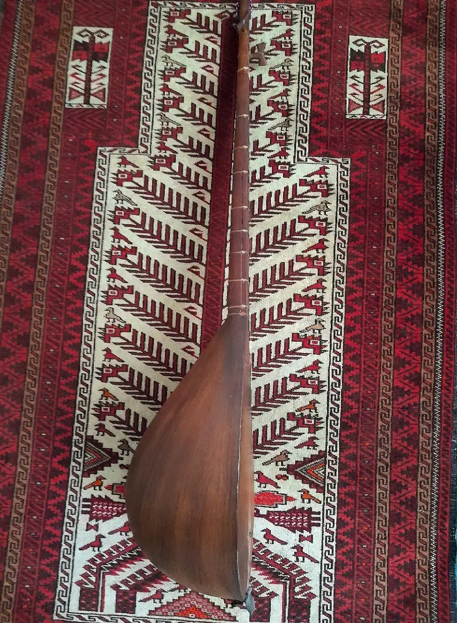 دوتار کاسه بزرگ|سازهای سنتی|تربت جام, جامی|دیوار