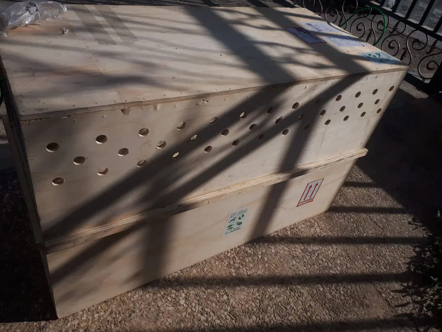 قفس چوبی یک|لوازم جانبی حیوانات|رباطکریم, رباطکریم|دیوار