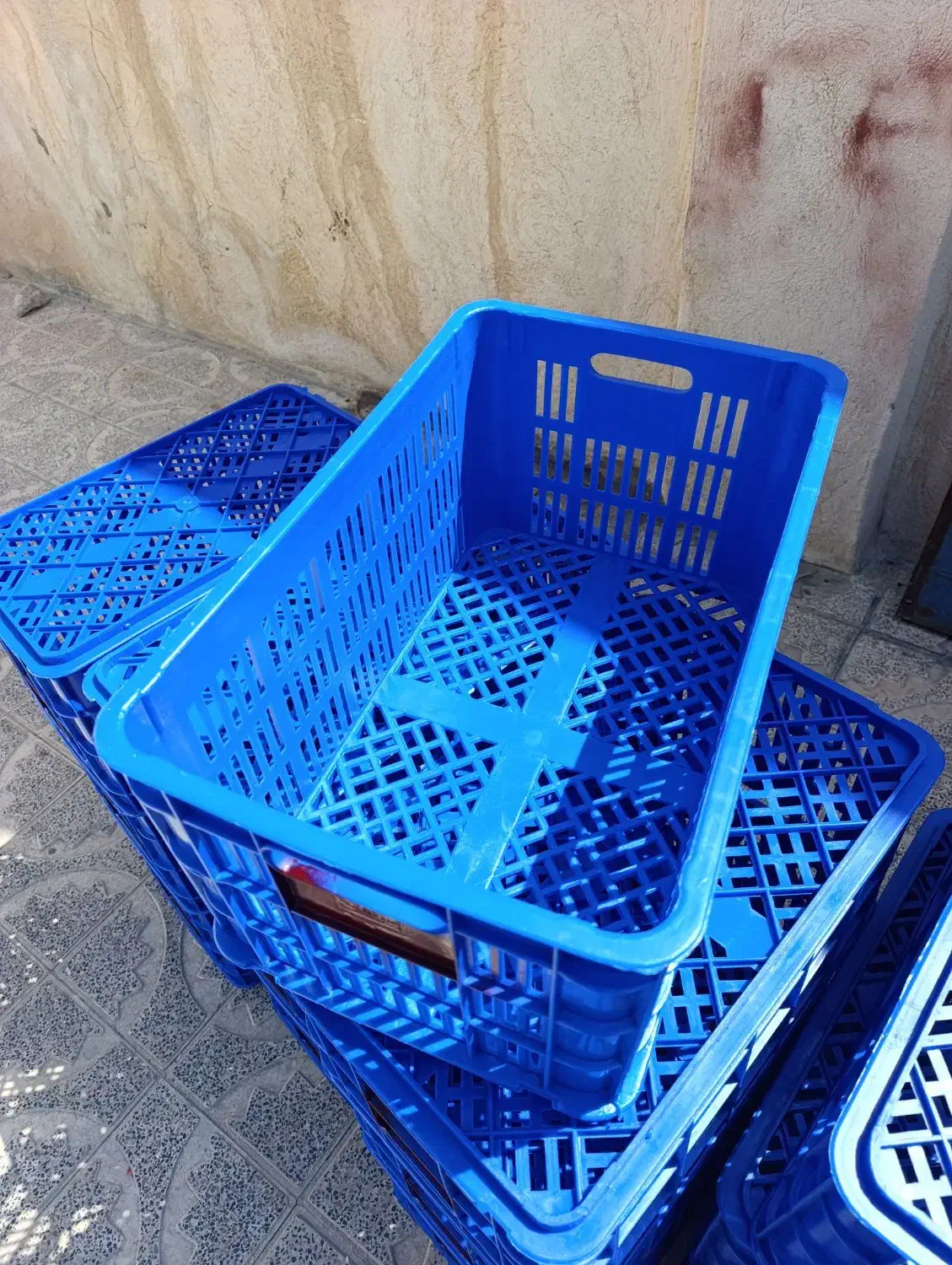 سبد.مرغ.ماهی.گوجه|عمدهفروشی|مرودشت, رامجرد یک|دیوار