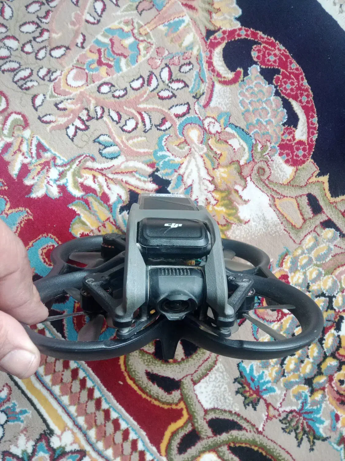 پرنده آواتا ۱|دوربین عکاسی و فیلمبرداری|تهران, آذربایجان|دیوار