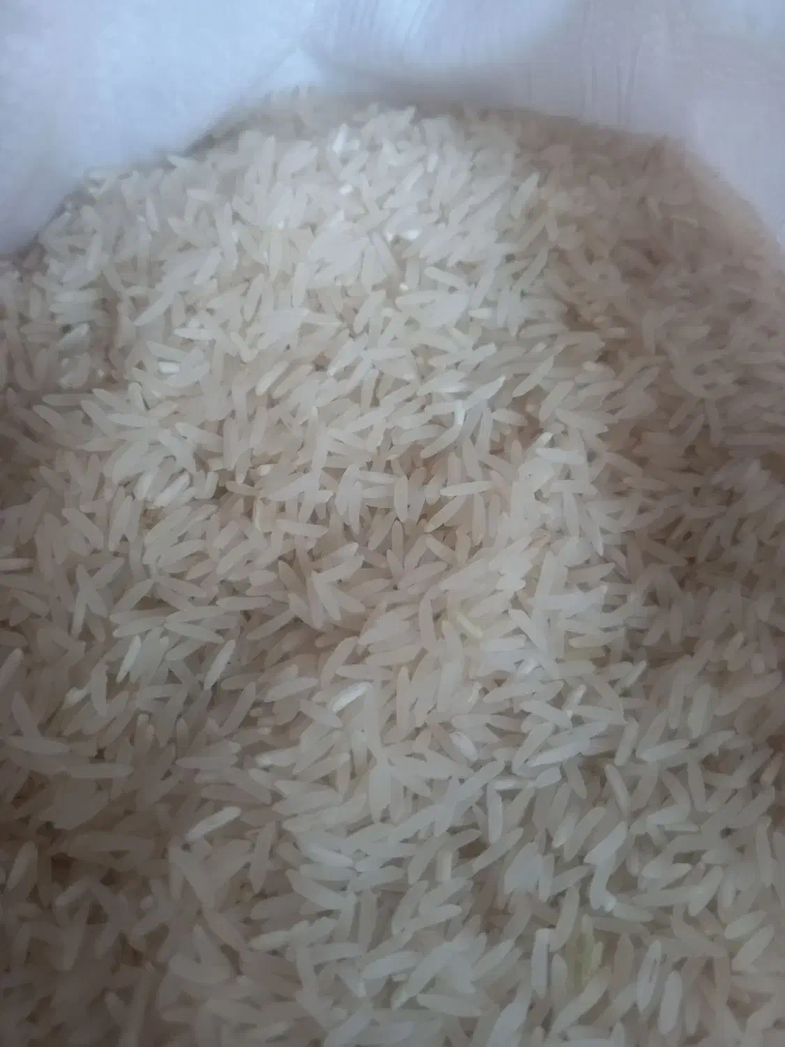 برنج فجر سوزنی|خوردنی و آشامیدنی|گرگان, |دیوار