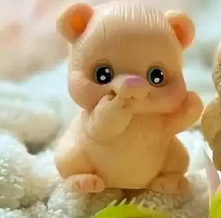 انواع شمع و گیفت های به یادماندنی.یلدایی وغیره|صنایع دستی و سایر لوازم تزئینی|داراب, |دیوار