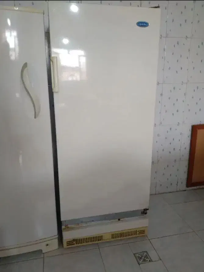 فریزر و یخچال|یخچال و فریزر|اندیکا, |دیوار