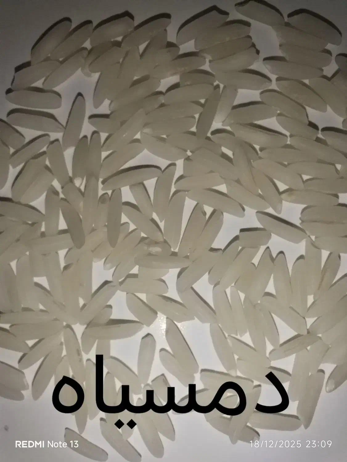 برنج ازتولیدبه مصرف دمسیاه وندا|خوردنی و آشامیدنی|گنبد کاووس, |دیوار