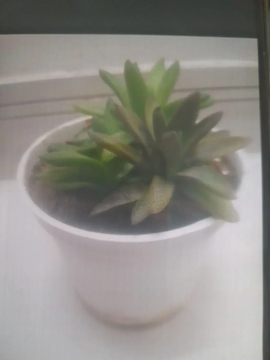 همایش|گردهمایی و همایش|مشهد, الهیه|دیوار