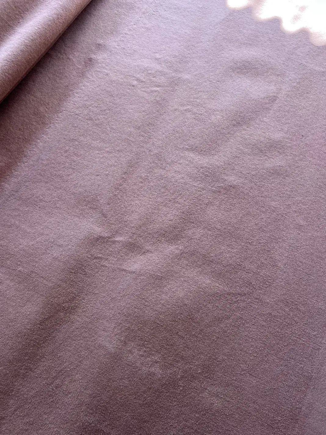 موکت ۲۱ متر در حد نو|موکت|کوچصفهان, |دیوار