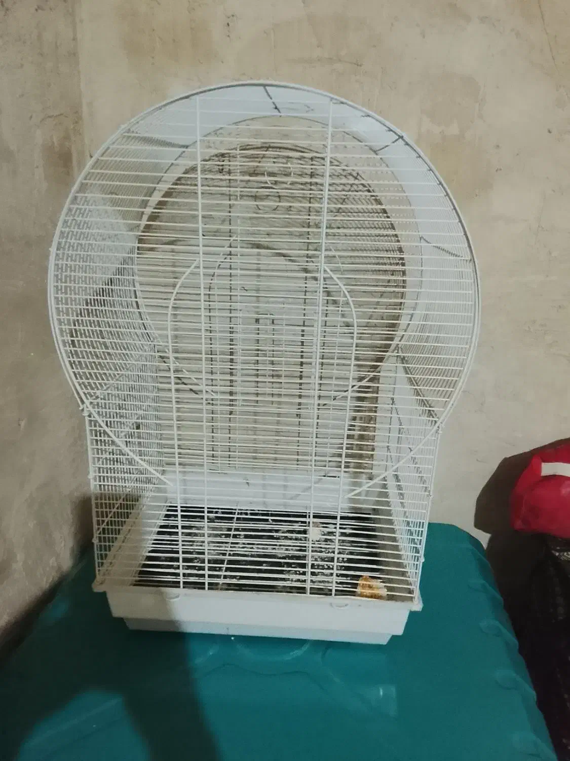 قفس بزرگ برایه عروس و|لوازم جانبی حیوانات|آبدانان, |دیوار