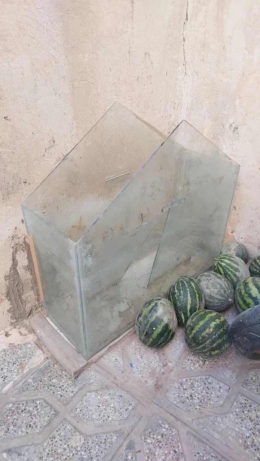 دوعدد آکواریم سالم|ماهی|اسفراین, |دیوار