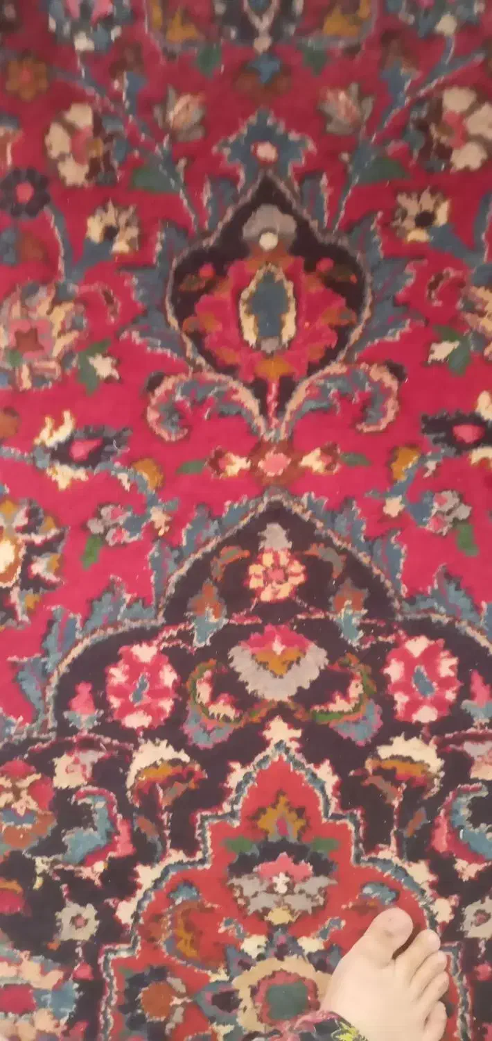 فرش دستبافت کاشان|فرش|قزوین, |دیوار