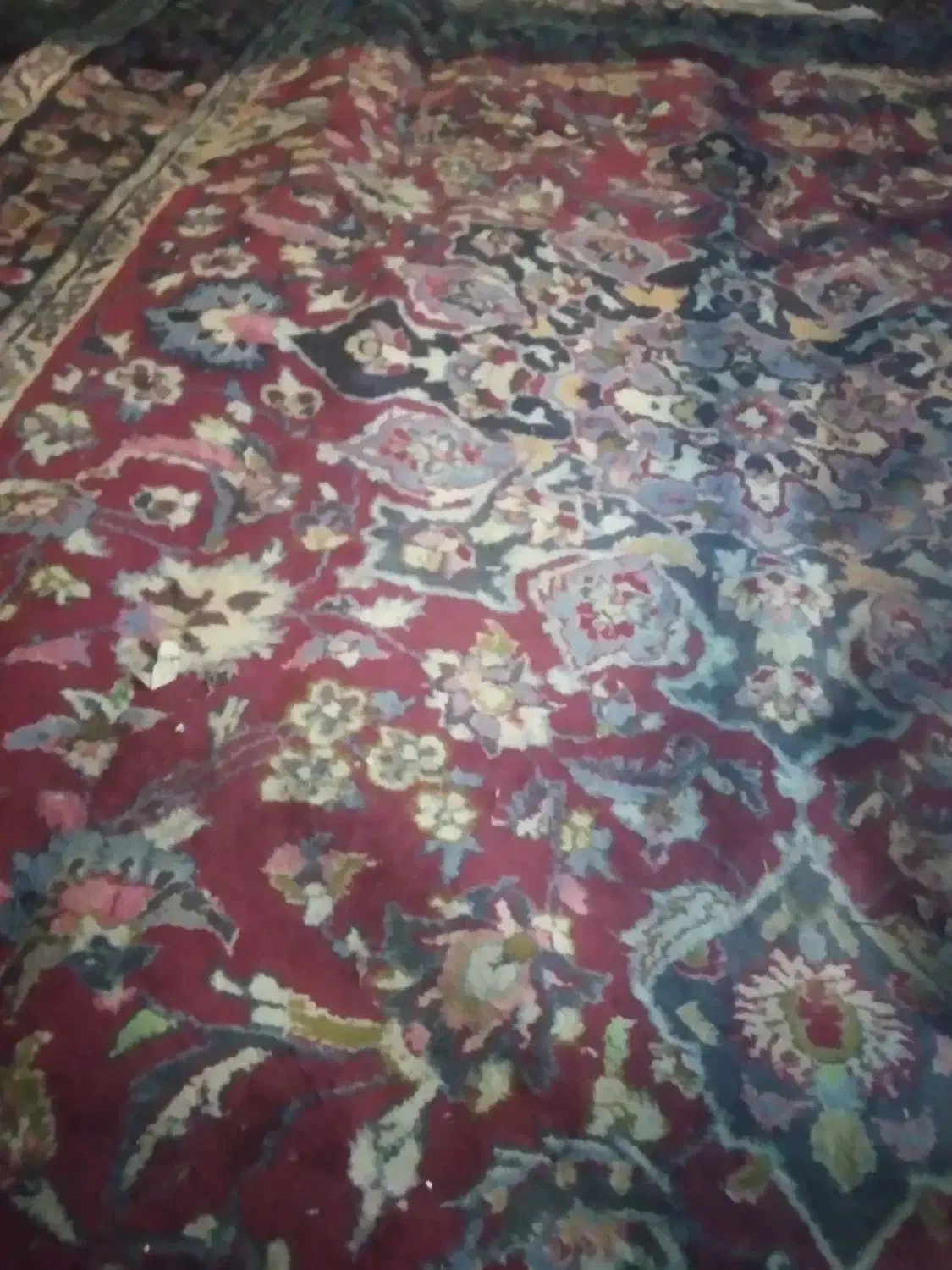 قالی دستباف|فرش|آمل, |دیوار