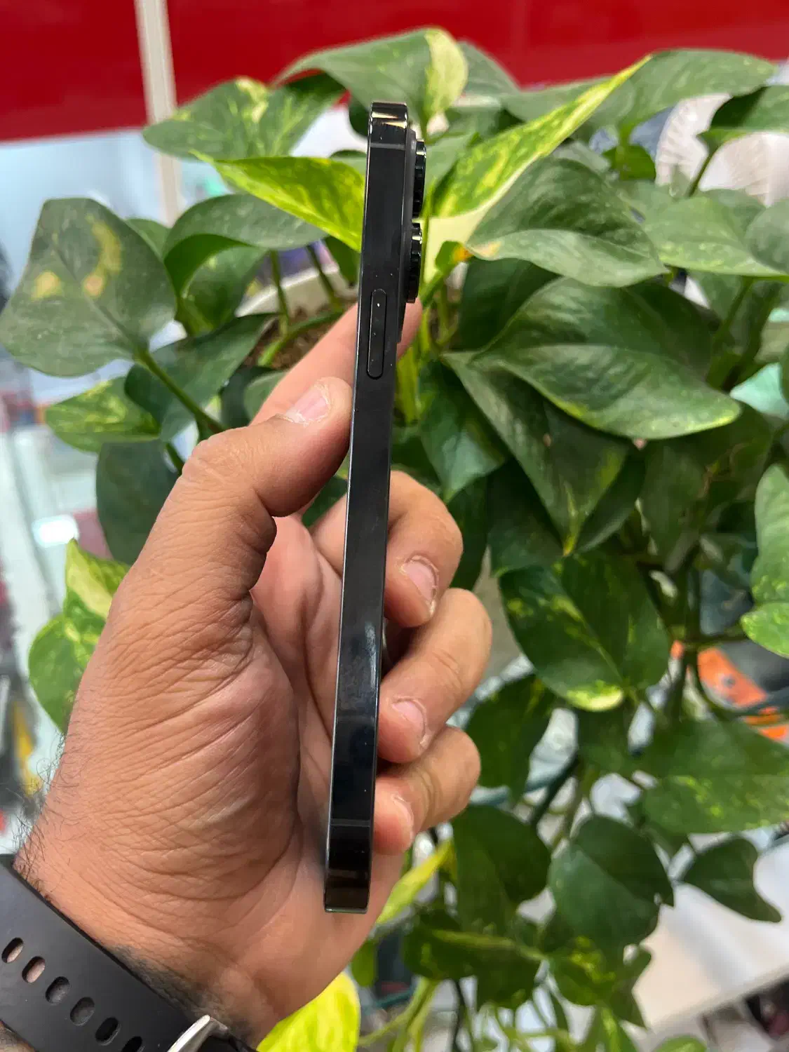 Iphone 14promax|موبایل|شیراز, گود عربان|دیوار